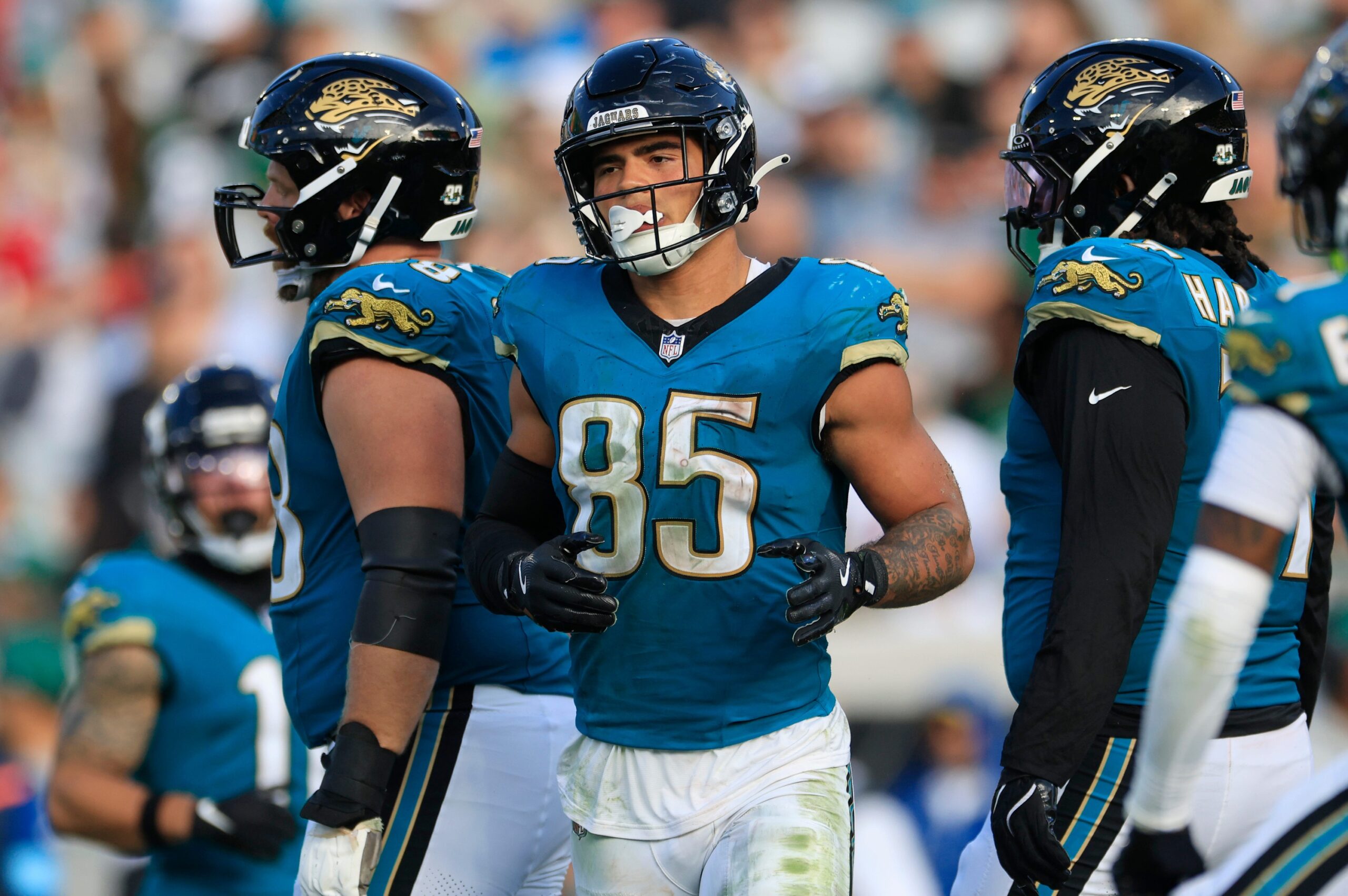 brenton strange dynasty outlook