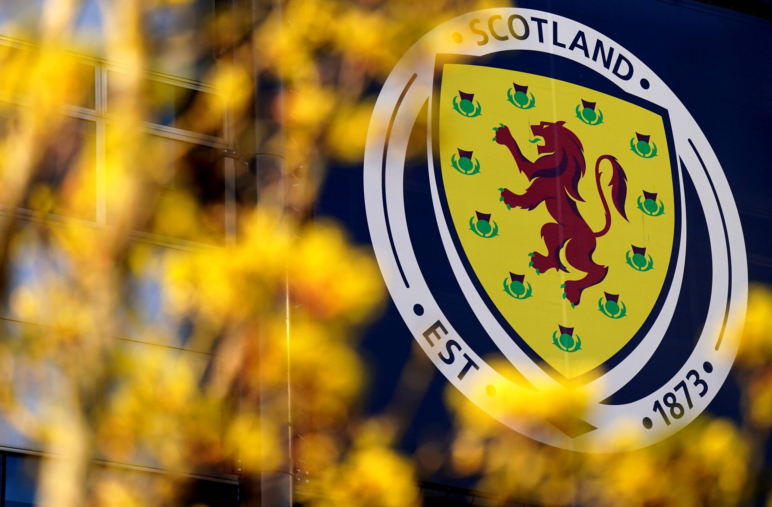 New Additions to Scotland Squad and the Return of Star Players
