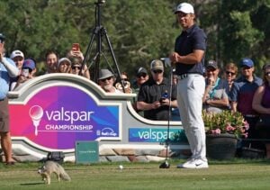 Golfers tee off at the Valspar Championship
